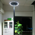 Mushroom shape Solar Garden Lighting with Motion Sensor JR-NM01
